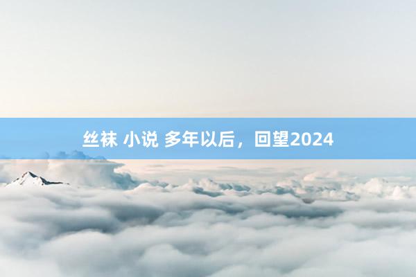 丝袜 小说 多年以后，回望2024