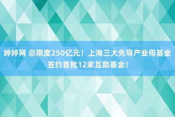 婷婷网 总限度250亿元！上海三大先导产业母基金签约首批12家互助基金！