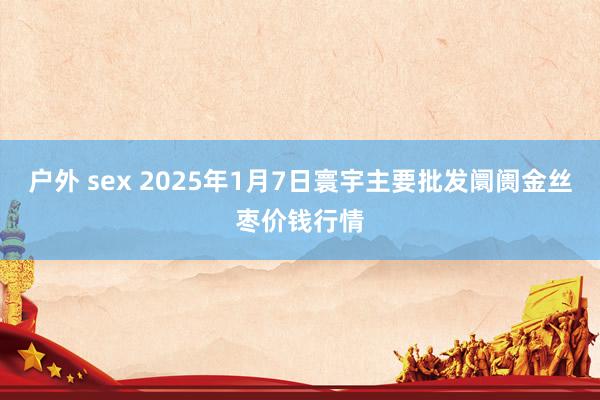 户外 sex 2025年1月7日寰宇主要批发阛阓金丝枣价钱行