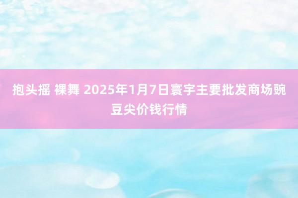 抱头摇 裸舞 2025年1月7日寰宇主要批发商场豌豆尖价钱行