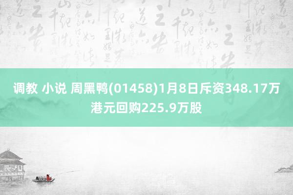 调教 小说 周黑鸭(01458)1月8日斥资348.17万港