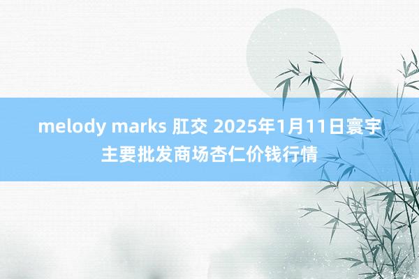 melody marks 肛交 2025年1月11日寰宇主要