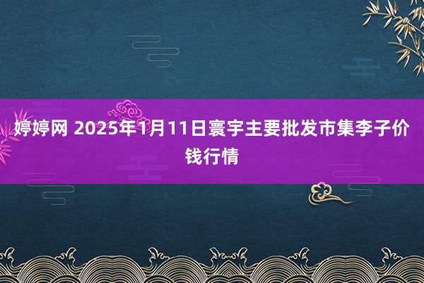 婷婷网 2025年1月11日寰宇主要批发市集李子价钱行情