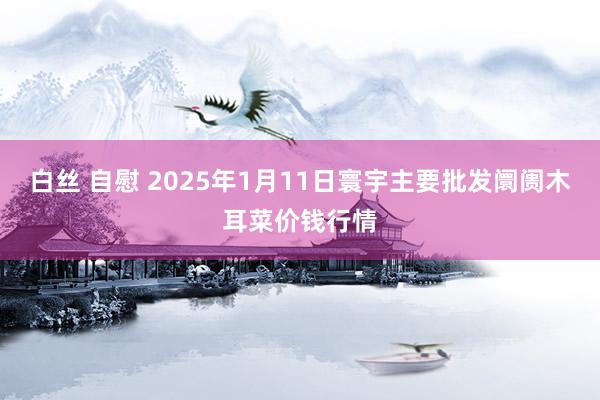 白丝 自慰 2025年1月11日寰宇主要批发阛阓木耳菜价钱行情