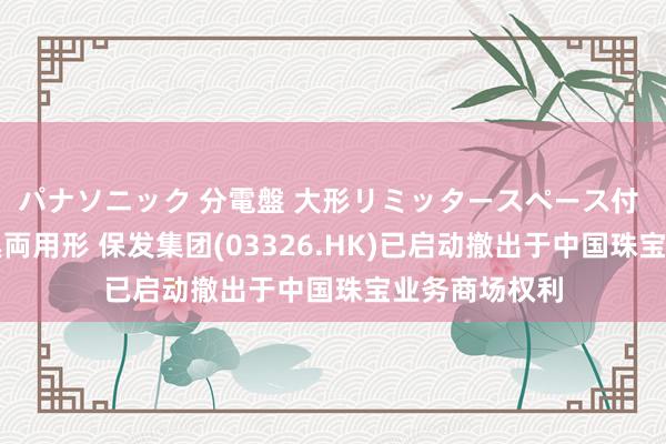 パナソニック 分電盤 大形リミッタースペース付 露出・半埋込