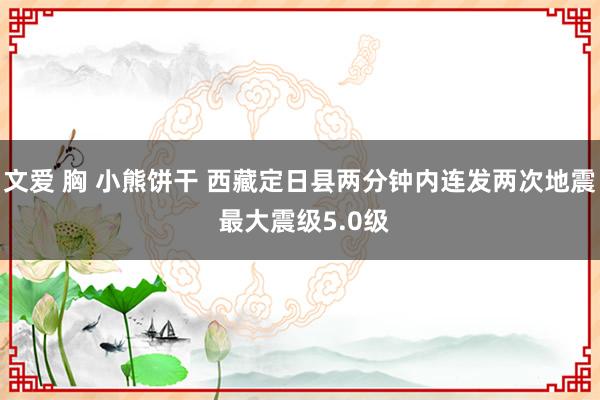 文爱 胸 小熊饼干 西藏定日县两分钟内连发两次地震 最大震级5.0级