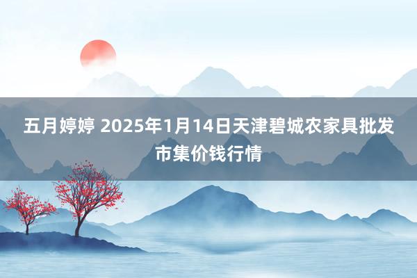 五月婷婷 2025年1月14日天津碧城农家具批发市集价钱行情