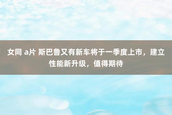 女同 a片 斯巴鲁又有新车将于一季度上市，建立性能新升级，值